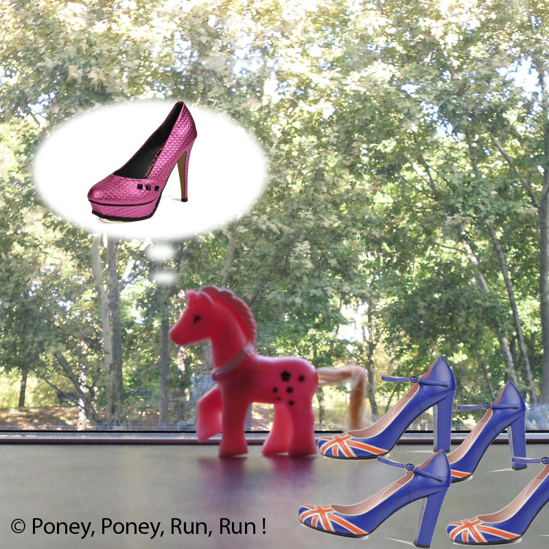 photo-poney-run-run