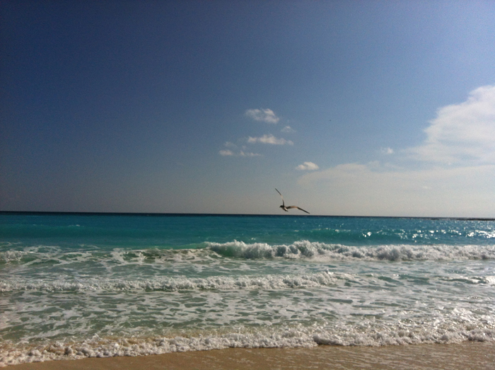 plage-mouette-cancun-club-med