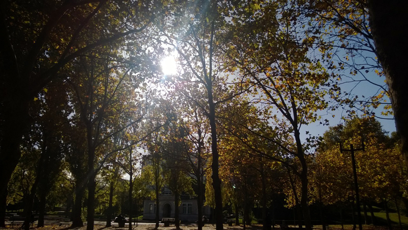 automne-parc