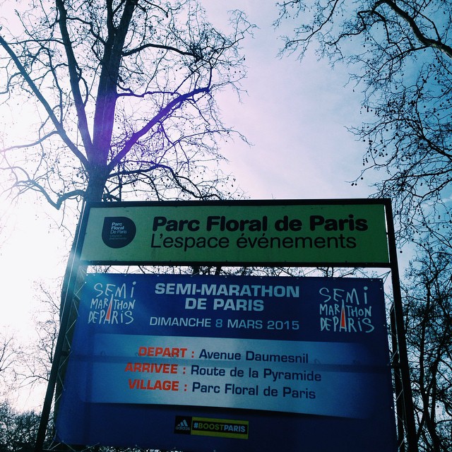 Mon premier semi de Paris (2015)